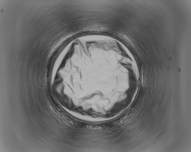 X0000062880531200602101719