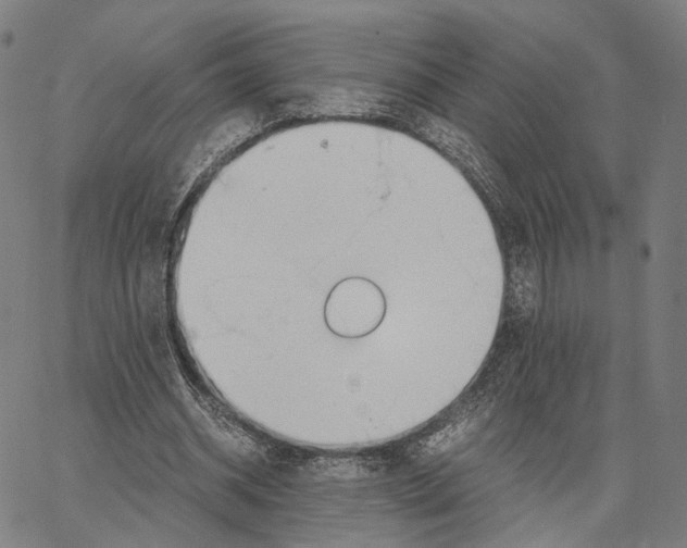 X0000062880534200602101719