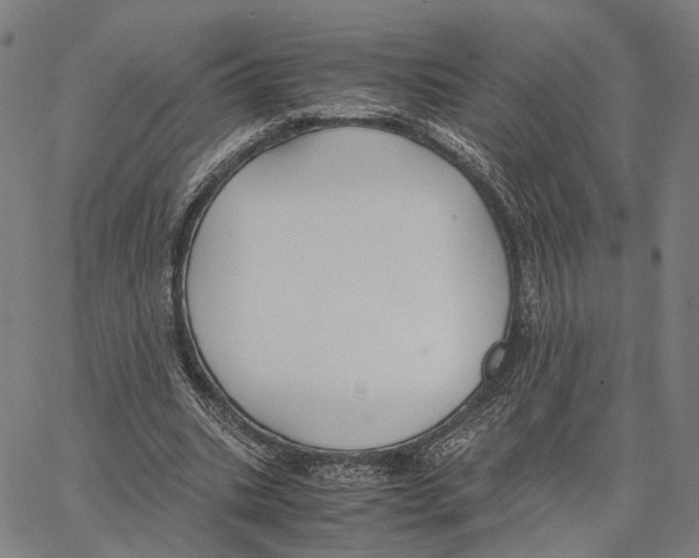 X0000062880535200602101719