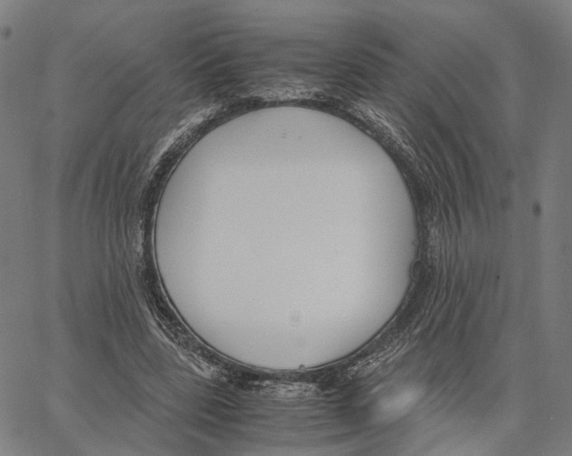 X0000062880539200602101719