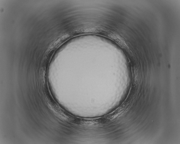 X0000062880542200602101719