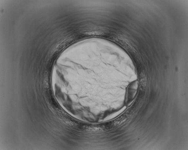 X0000062880547200602101719