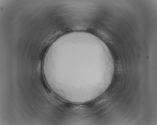 X0000062880550200602101719