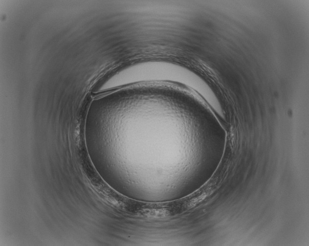 X0000062880552200602101719