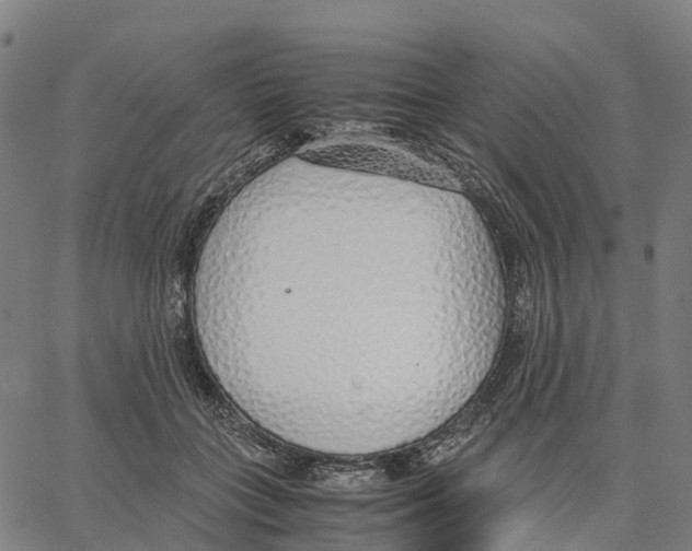 X0000062880555200602101719