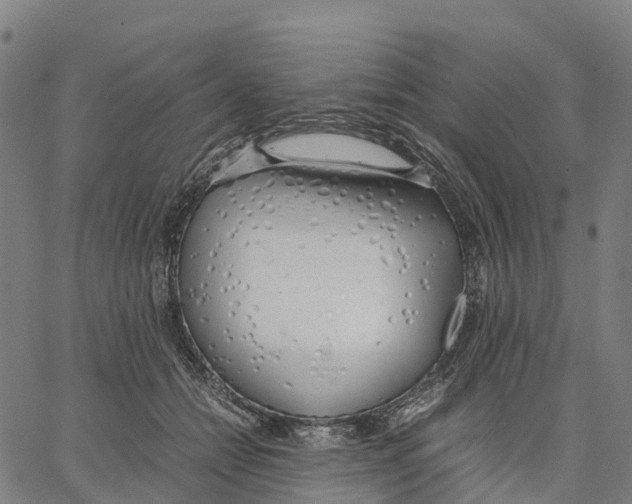 X0000062880558200602101719