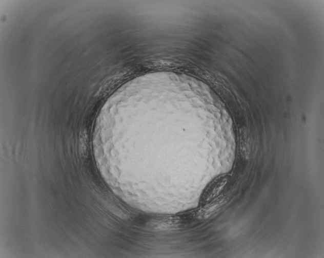 X0000062880563200602101719