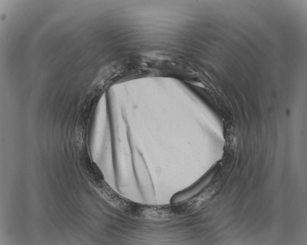 X0000062880568200602101719