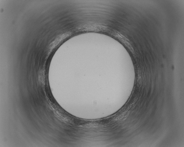 X0000062880578200602101719