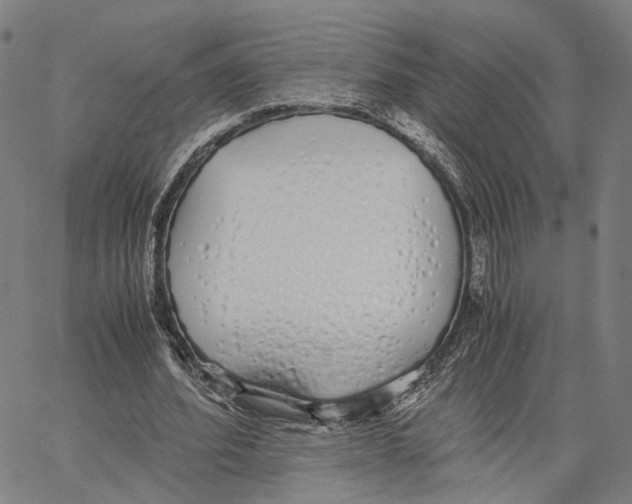 X0000062880580200602101719