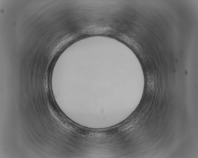 X0000062880582200602101718