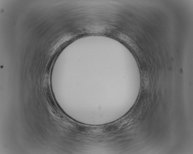X0000062880583200602101718