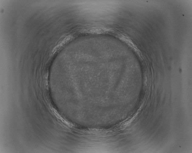 X0000062880585200602101718