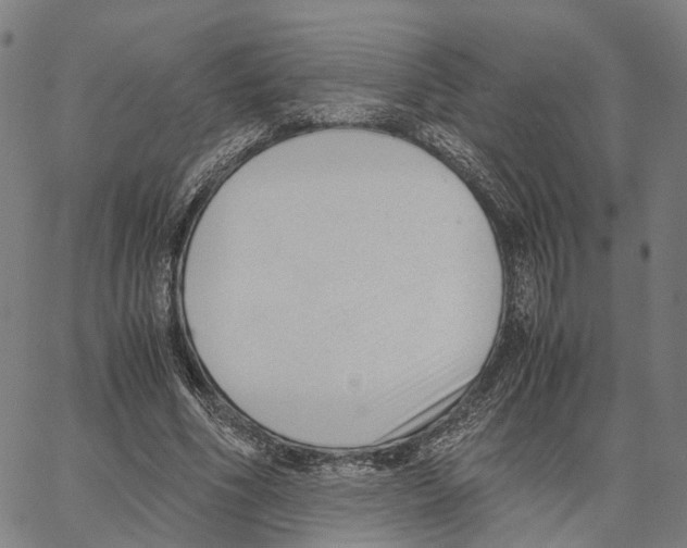 X0000062880586200602101718