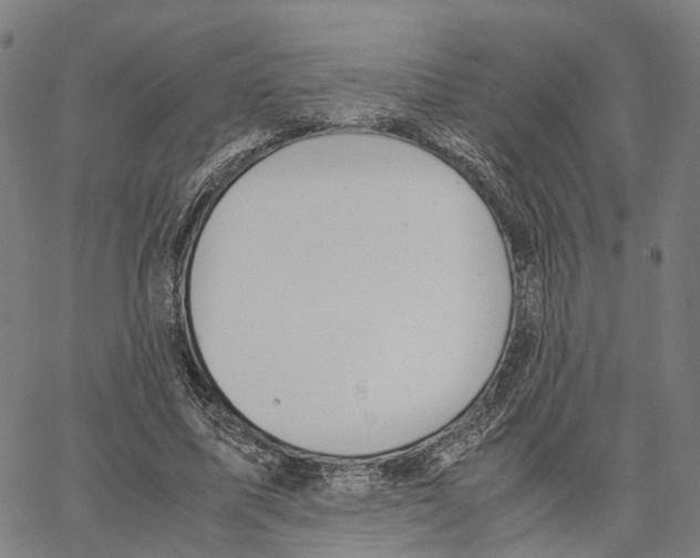 X0000062880587200602101718