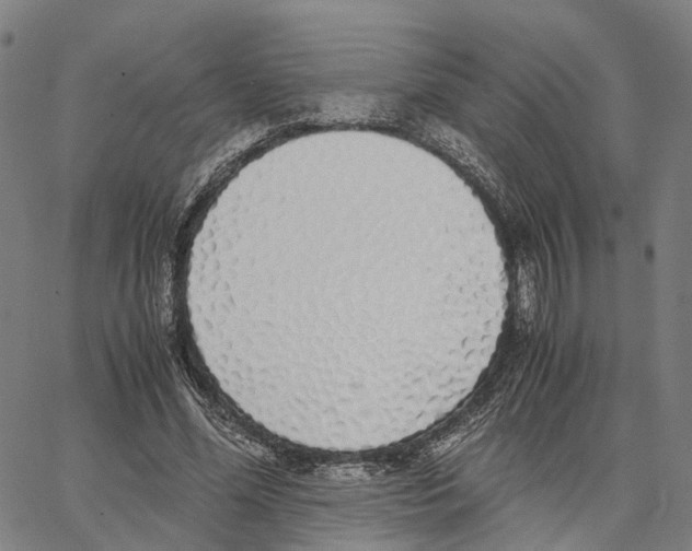 X0000062880588200602101718
