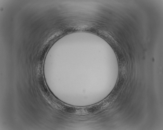 X0000062880591200602101718