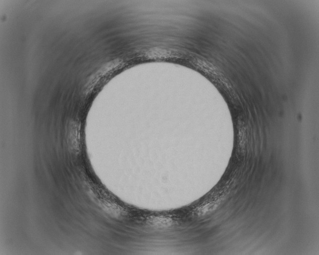 X0000062880592200602101718