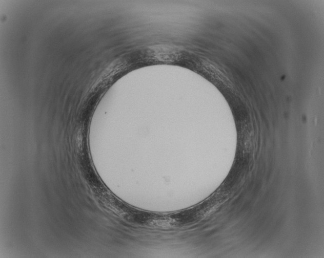 X0000062880595200602101718