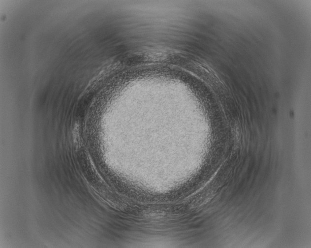 X0000062880598200602101718
