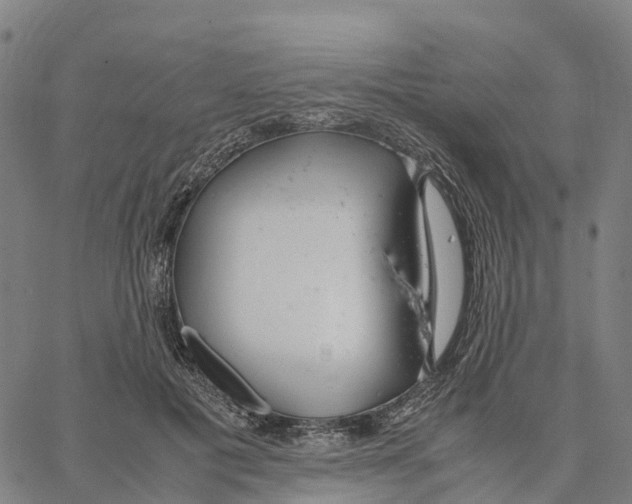X0000062880601200602101718