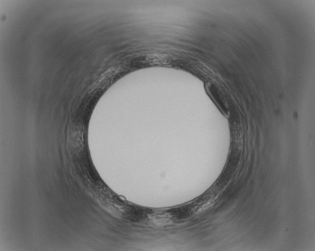 X0000062880603200602101718