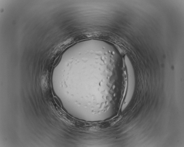 X0000062880604200602101718