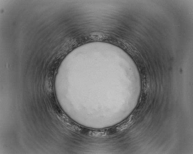 X0000062880606200602101718