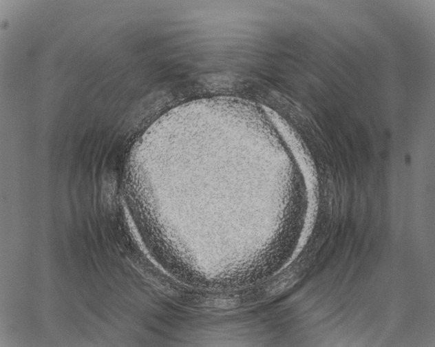 X0000062880610200602101718