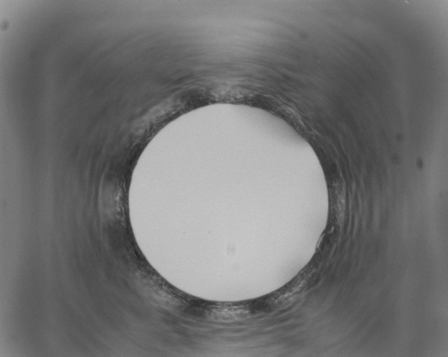 X0000062880619200602101718