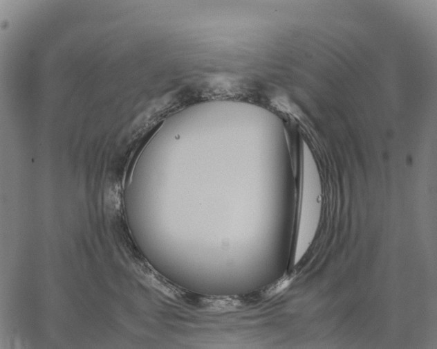 X0000062880621200602101718