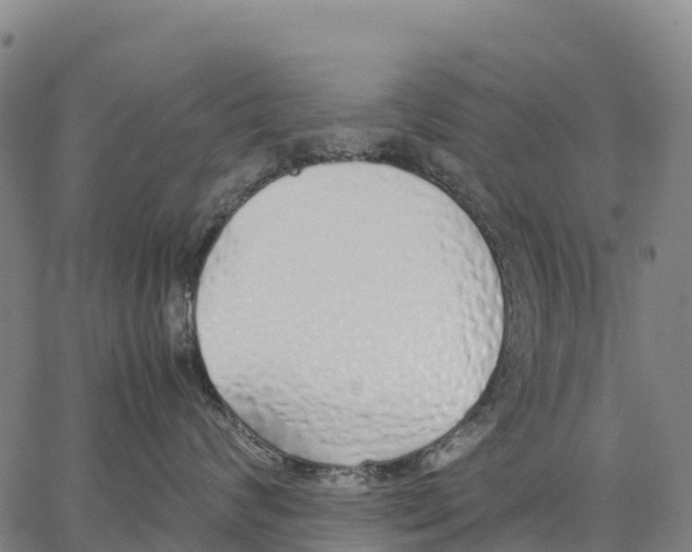 X0000062880624200602101718