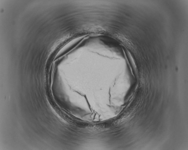 X0000062880630200602101717
