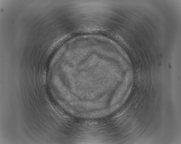 X0000062880640200602101717