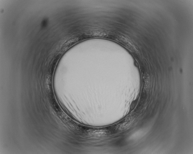 X0000062880643200602101717