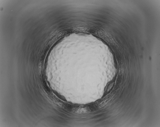 X0000062880647200602101717