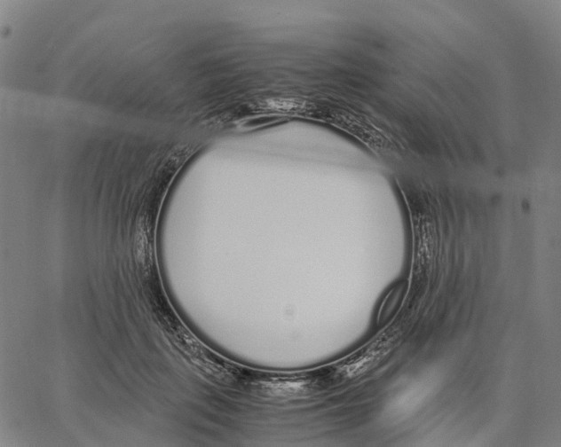 X0000062880651200602101717