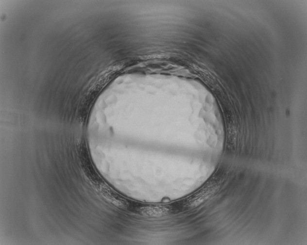 X0000062880652200602101717