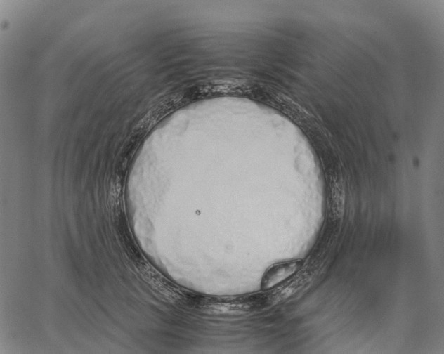 X0000062880657200602101718