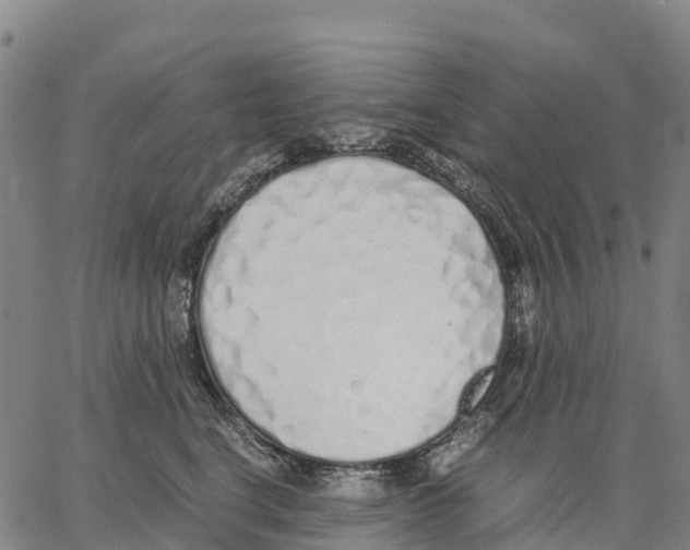 X0000062880664200602101718