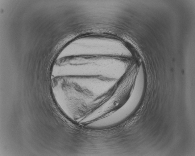 X0000062880673200602101717