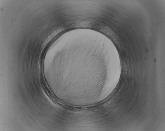 X0000062880674200602101717