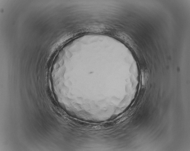 X0000062880675200602101717