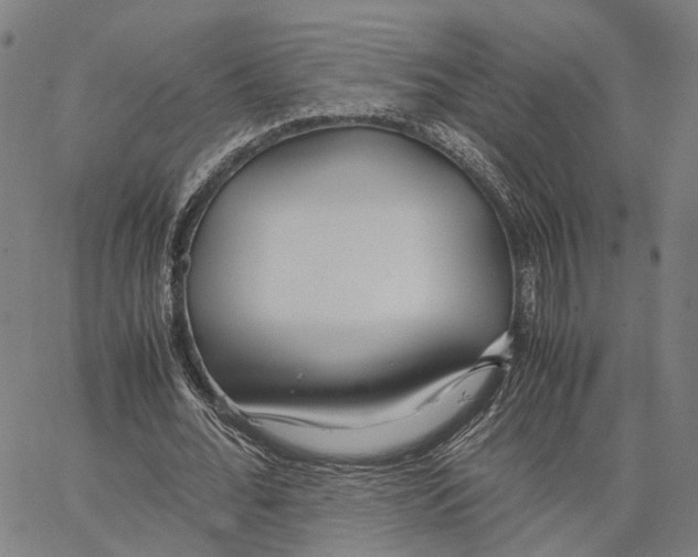 X0000062880676200602101717