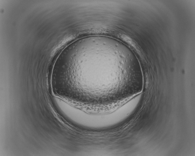 X0000062880677200602101717