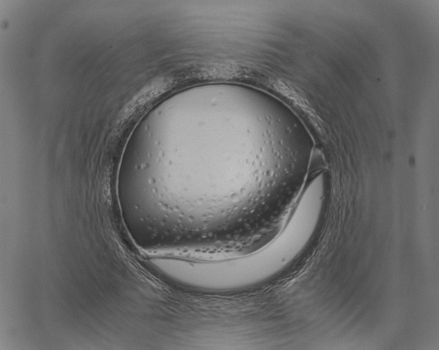 X0000062880681200602101717