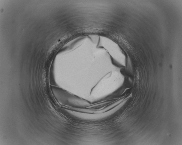 X0000062880684200602101717
