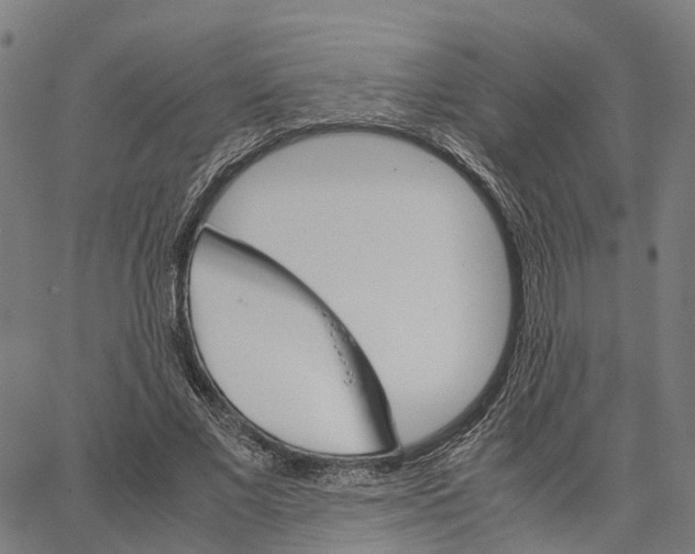 X0000062880685200602101717