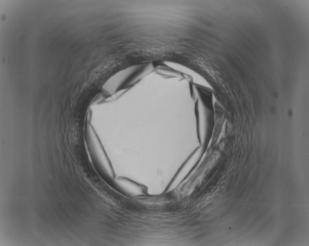X0000062880689200602101717