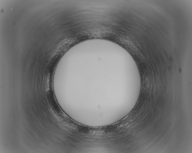 X0000062880694200602101717